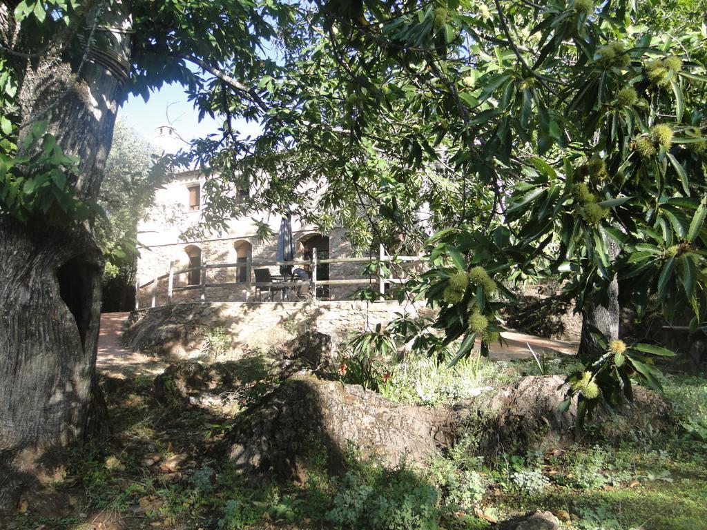 פוואנטהרידוס Finca La Colora מראה חיצוני תמונה